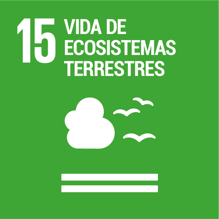 ODS 15 vida de ecosistemas terrestres
