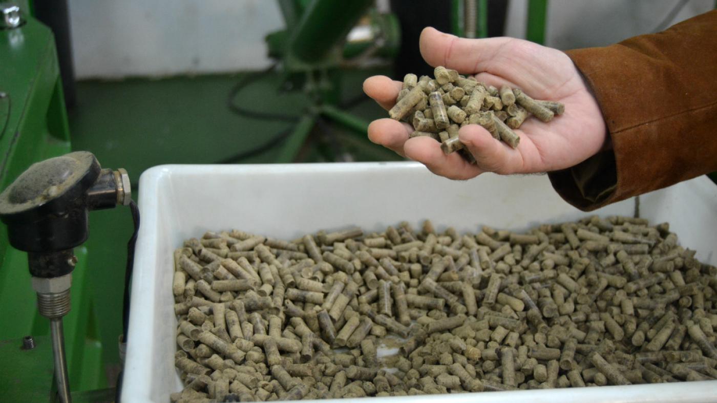 ‘Pellets’ de toxo de baixa densidade para levar a biomasa ao sector da automoción