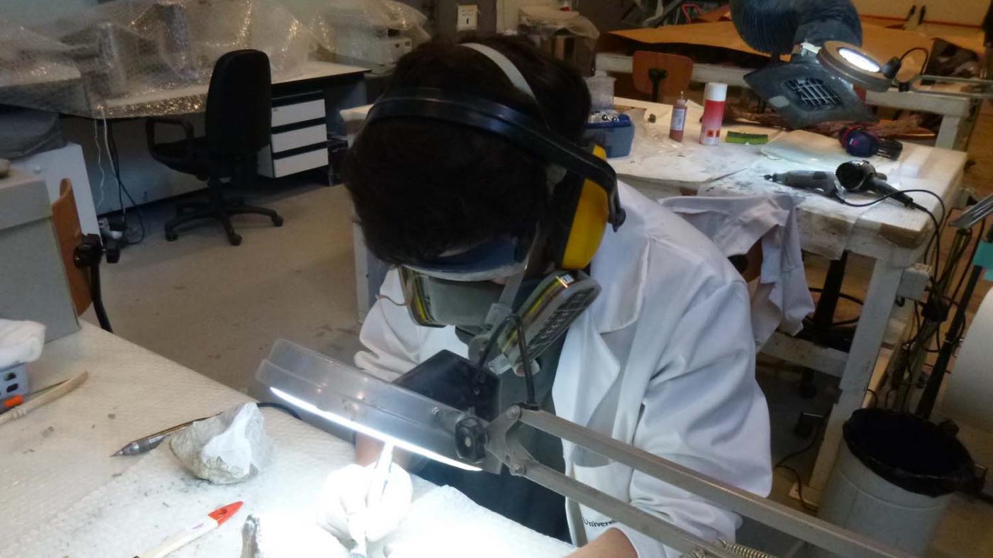 Artai Santos traballando durante as operacións de reconstrución e restauración das pezas nos laboratorios da Fundación Dinópolis 