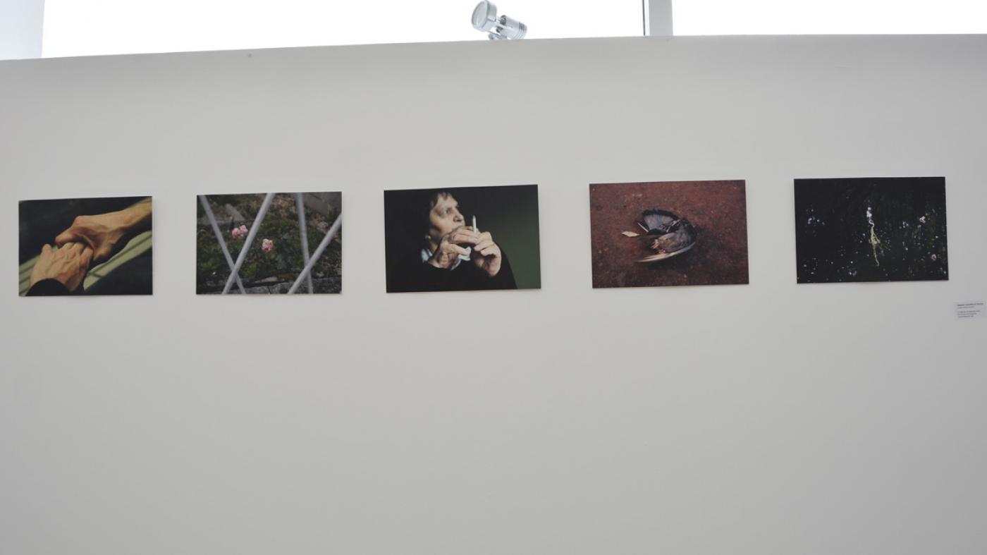 O campus acolle unha mostra de obras do XV Certame de Fotografía da Universidade 