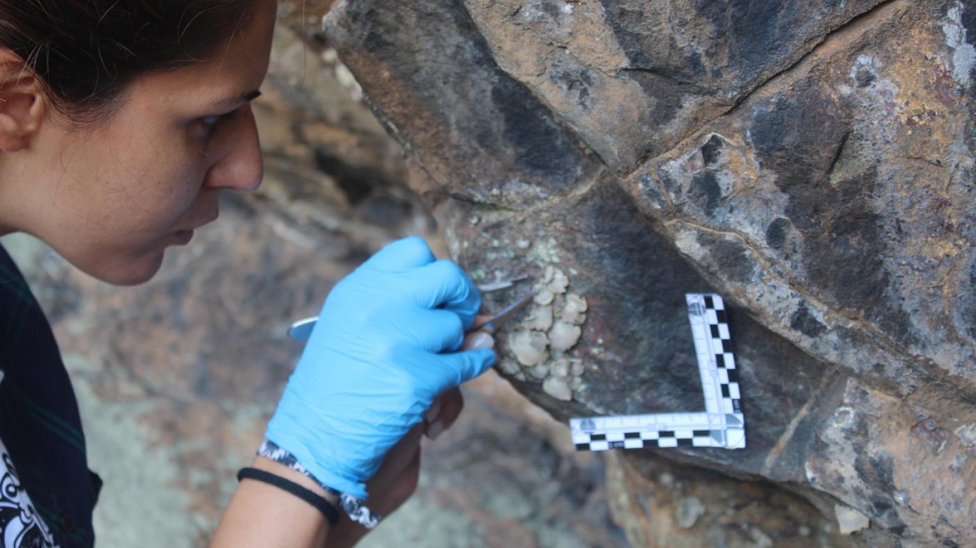 Os indicios de ocupación prehistórica afloran tralas pinturas rupestres de Vilardevós 