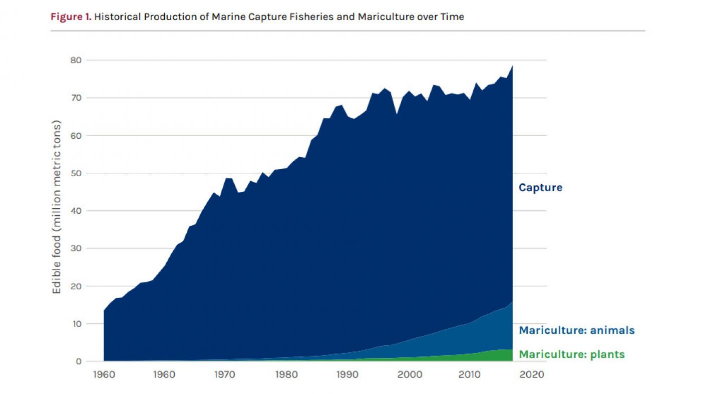 Gráfica da evolución do volume das capturas mariñas e da acuicultura 