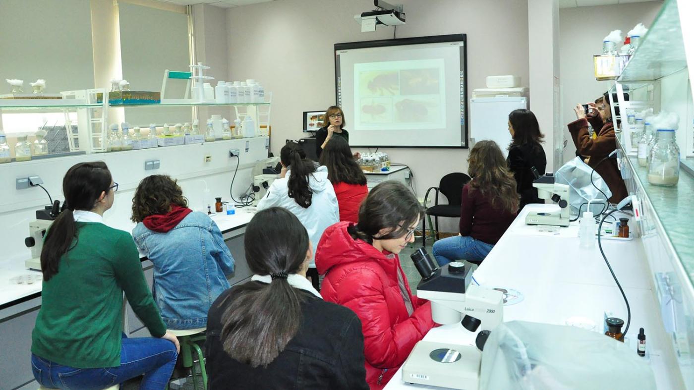 250 rapazas celebrarán o Día Internacional da Muller e da Nena na Ciencia nos laboratorios da UVigo 