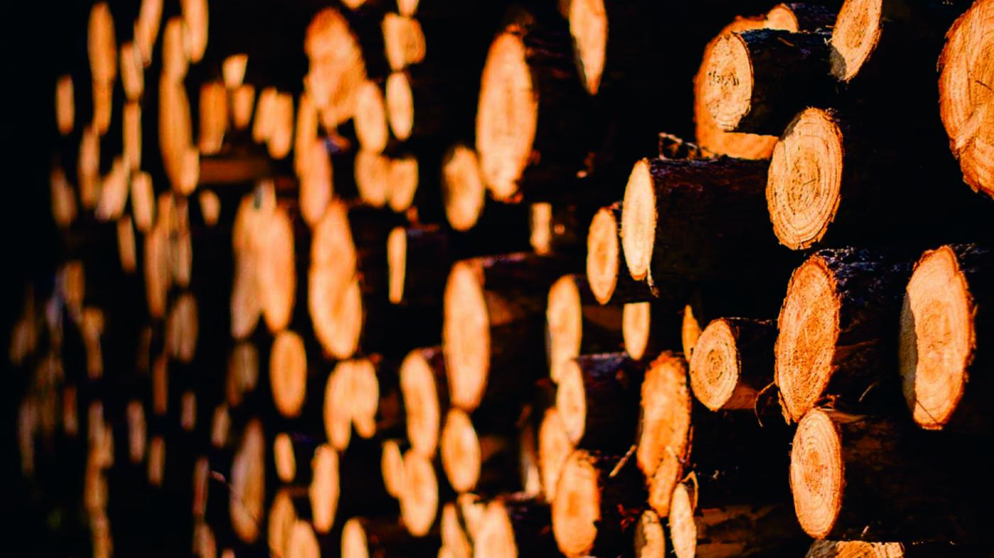 A EE Forestal avalía coa Xunta o impacto da crise da COVID-19 na industria da madeira