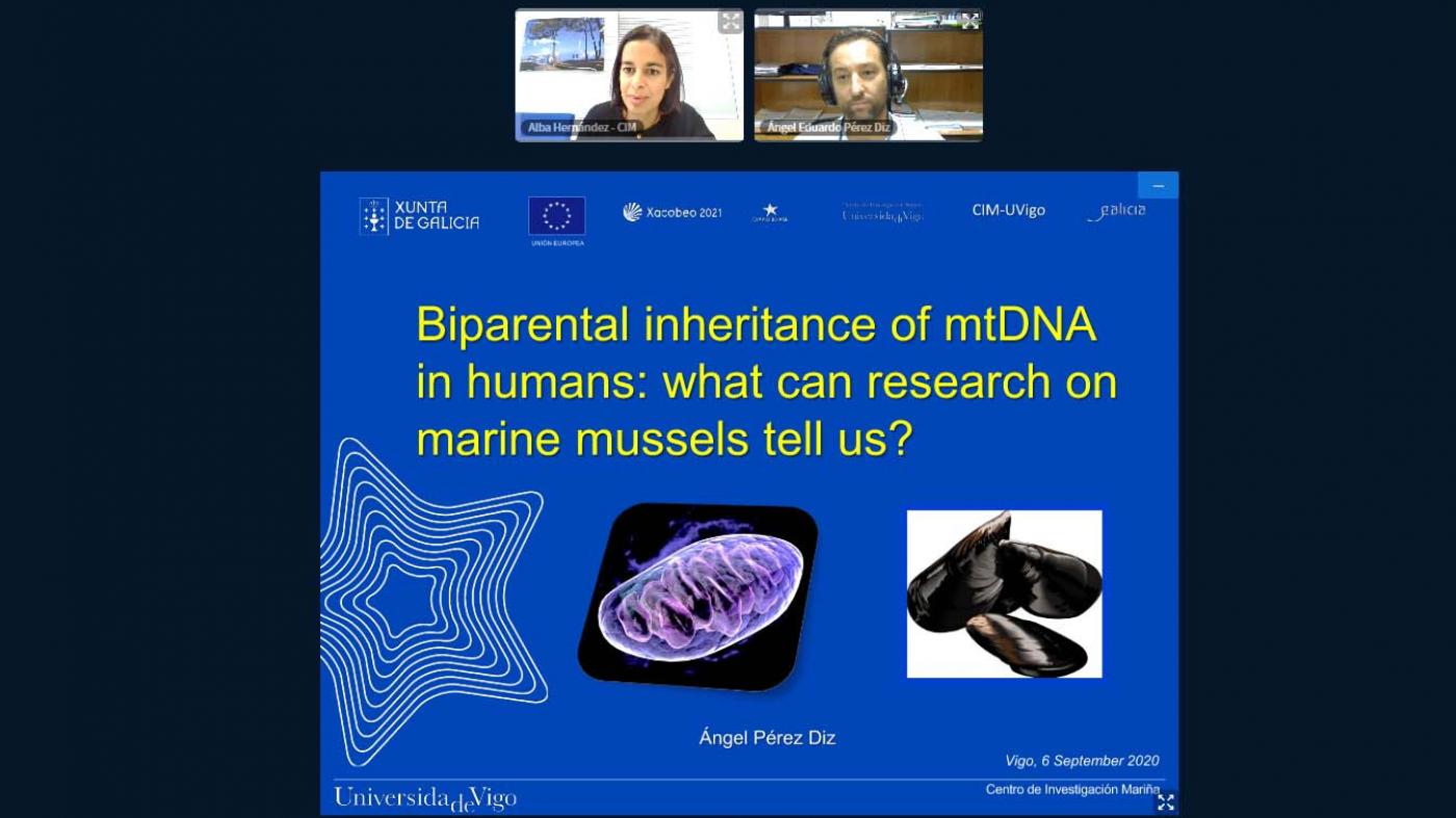Que pode achegar a investigación con mexillóns mariños á herdanza biparental do ADN mitocondrial en humanos?