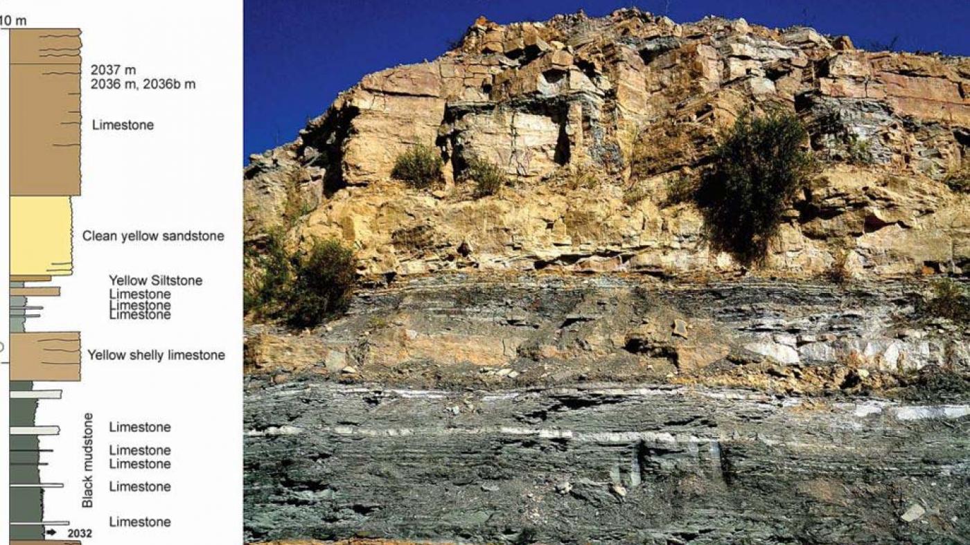 Investigadores vigueses e etíopes reconstrúen as comunidades vexetais da Conca do Nilo Azul durante o Xurásico Superior