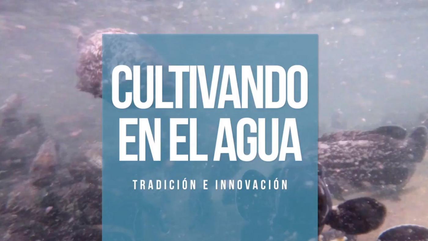 A rede Aqua-Cibus participa nunha nova iniciativa para pór en valor a I+D+i na acuicultura