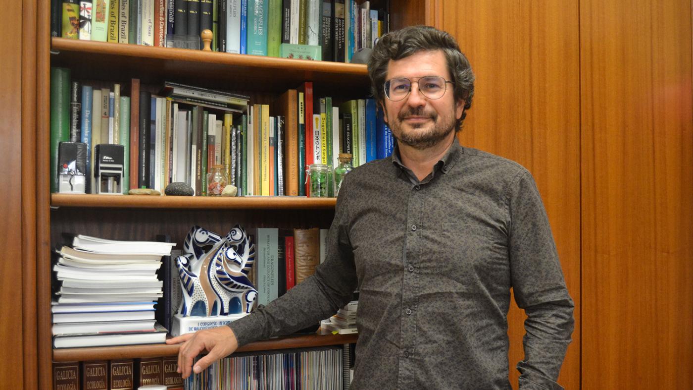 O catedrático Adolfo Cordero participa na redefinición da árbore evolutiva das libélulas