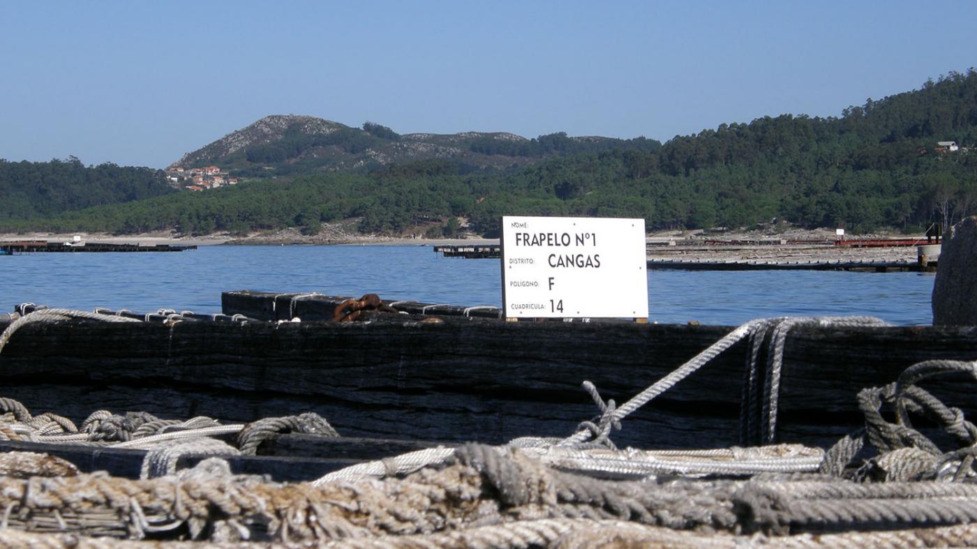 Unha tese avanza na creación dun sistema de predición de mareas vermellas en tempo real para as rías galegas