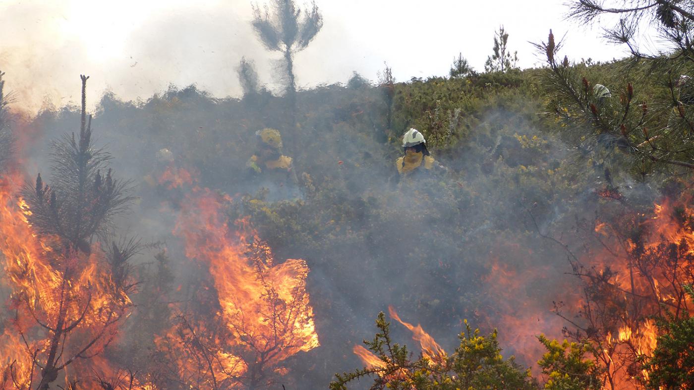 Máis de 200 expertos e profesionais establecen as liñas da futura lei de loita contra os incendios de Galicia