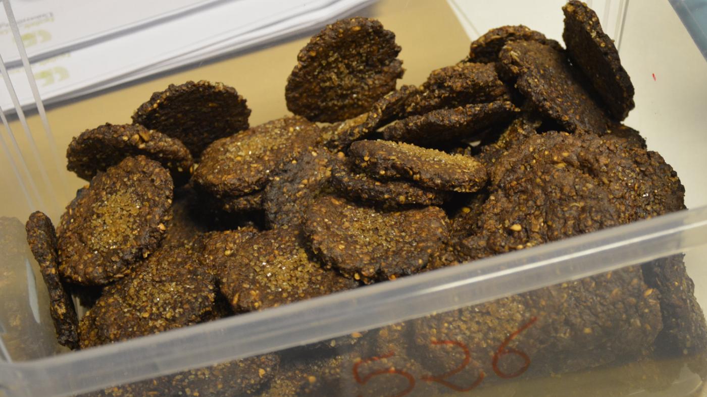 A Área de Tecnoloxía dos Alimentos colabora na busca dunha galleta doce saudable de proteína mariña saudable