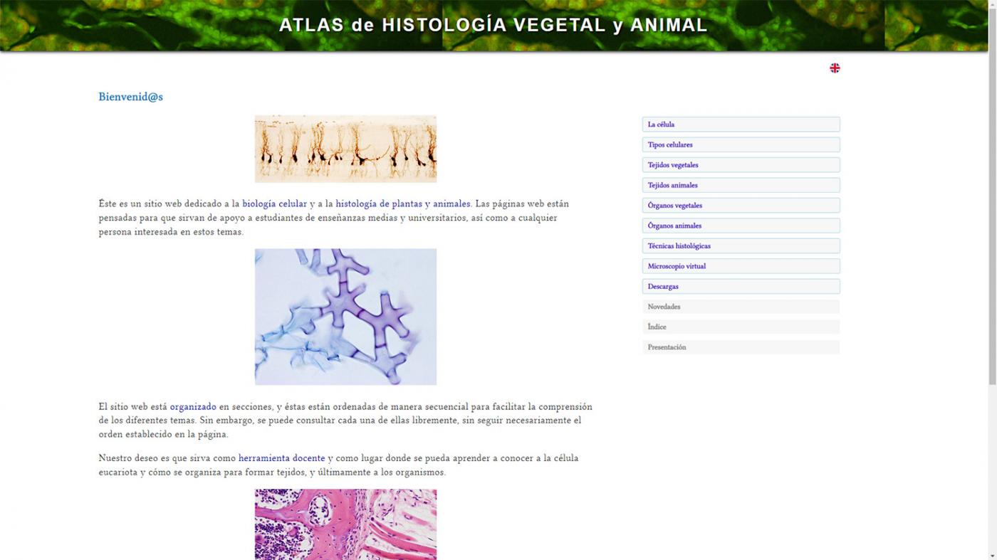 Un novo premio e 26 millóns de usuarios confirman o éxito internacional do Atlas Histolóxico da UVigo