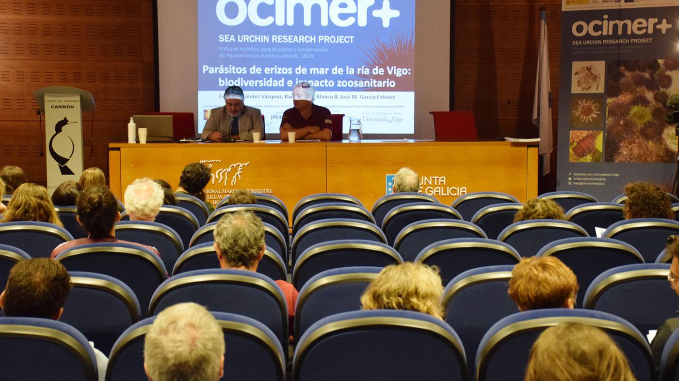 O proxecto Ocimer+ achega novos avances sobre o cultivo e conservación do ourizo de mar