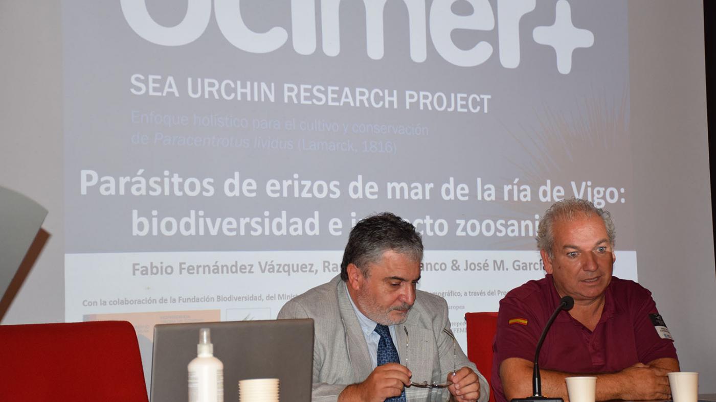 O proxecto Ocimer+ achega novos avances sobre o cultivo e conservación do ourizo de mar