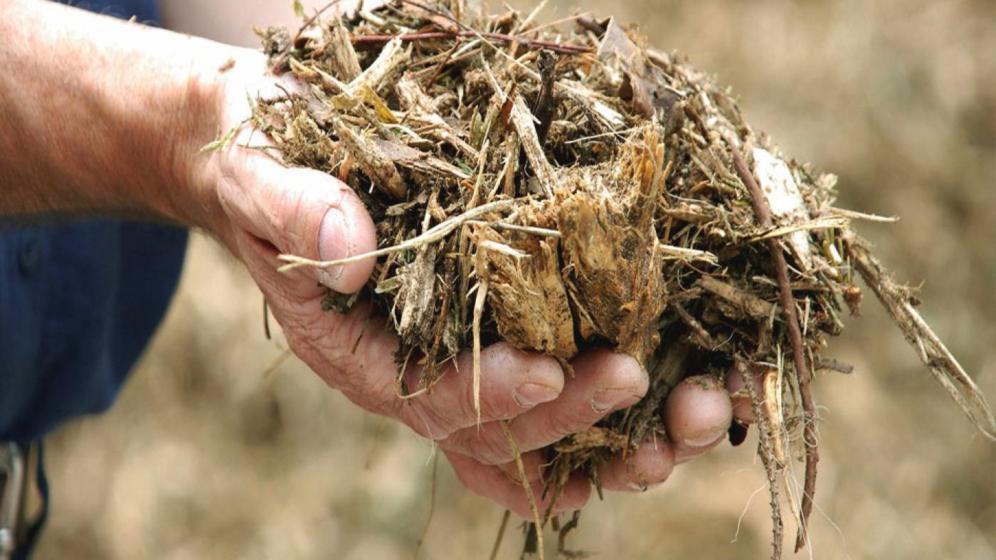 A UVigo implícase na valorización e aproveitamento da biomasa como recurso estratéxico na eurorrexión