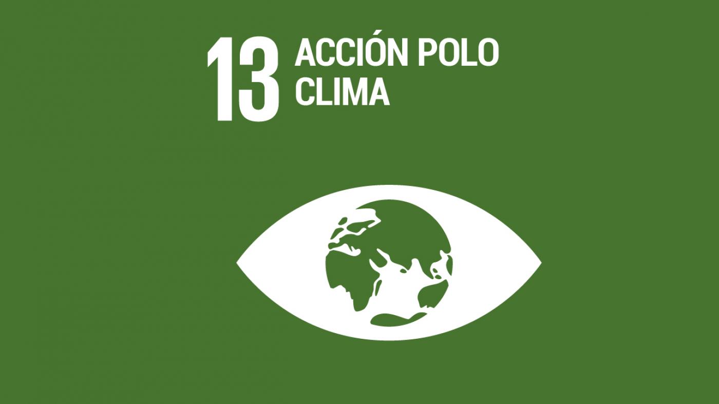 Imaxe do ODS n.º 13: Día Mundial da Acción polo Clima