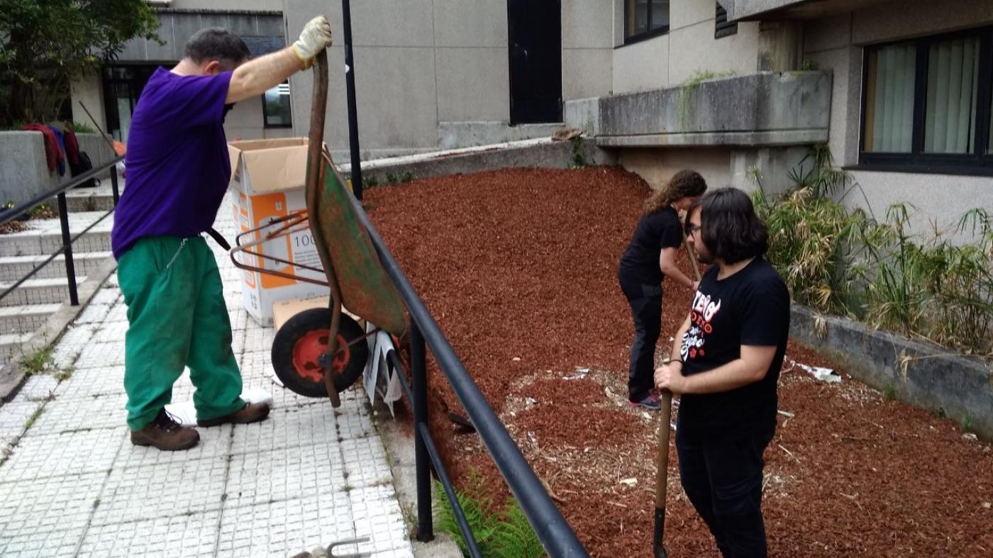 Un programa de voluntariado da OMA permite erradicar a flora invasora do campus