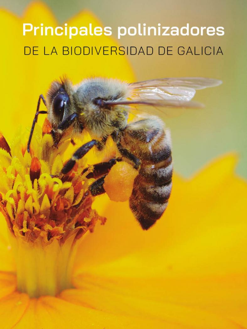 Un libro para achegar á cidadanía o importante labor dos insectos na polinización