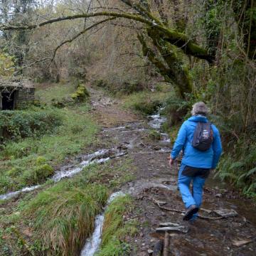 Unha andaina de montaña polo “corazón de Galicia”