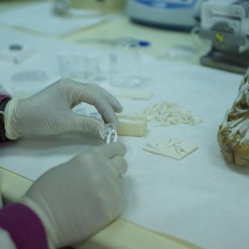 A multinacional Ziacom comercializará un biomaterial para rexeneración ósea deseñado ao abeiro do proxecto Biofast