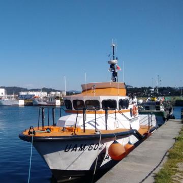 As confrarías de pescadores preséntanse como organizacións adecuadas para a xestión integral e sostible da pesca a pequena escala en Galicia
