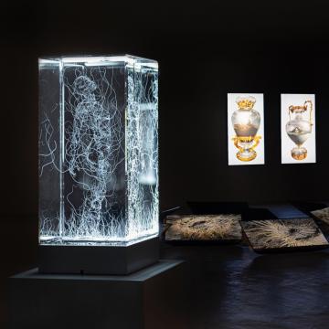 Marina Núñez explora nunha exposición as conexións entre o humano, o natural e o tecnolóxico