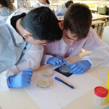 O Proxecto MicroMundo@Uvigo volve un curso máis para implicar a escolares na busca de novos antibióticos