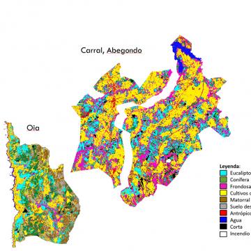 Investigadores da EE Forestal amosan os primeiros resultados da súa metodoloxía para caracterizar superficies forestais a partir de imaxes por satélite