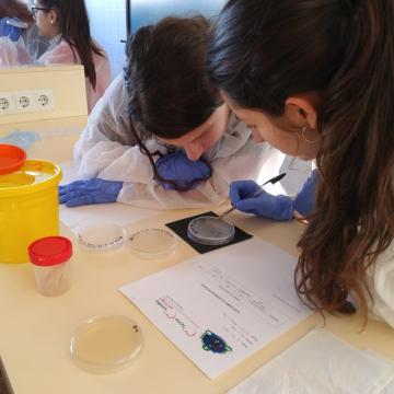 O Proxecto MicroMundo volverá ás aulas para concienciar a escolares sobre o uso responsable de antibióticos