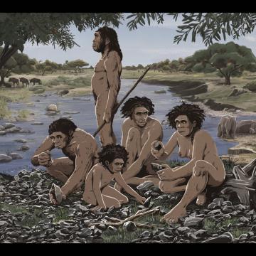 O xacemento etíope de Simbiro III permite avanzar no coñecemento da “capacidade de planificación e anticipación” do Homo erectus 