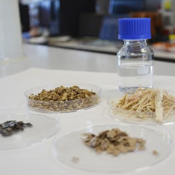 Unha tese avanza na eficiencia da transformación da biomasa mediante o uso de procesos máis simples e escalables 