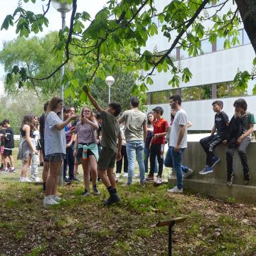 Preto de 350 estudantes de secundaria coñecerán o arboreto do campus