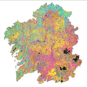 As masas arbóreas supoñen para Galicia un activo valorado en preto de 43.000 millóns de euros