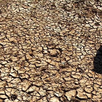 desertización e seca